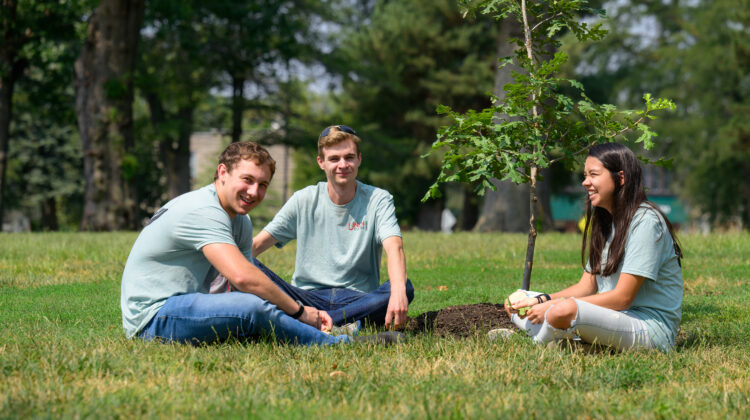 Photo of three students sitting under a sapling.